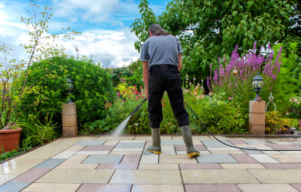 Best Pre-Holiday Cleaning  in Sag Harbor, NY